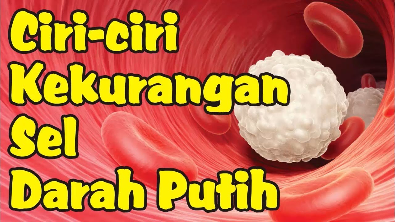 Ciri-ciri Kekurangan Sel Darah Putih