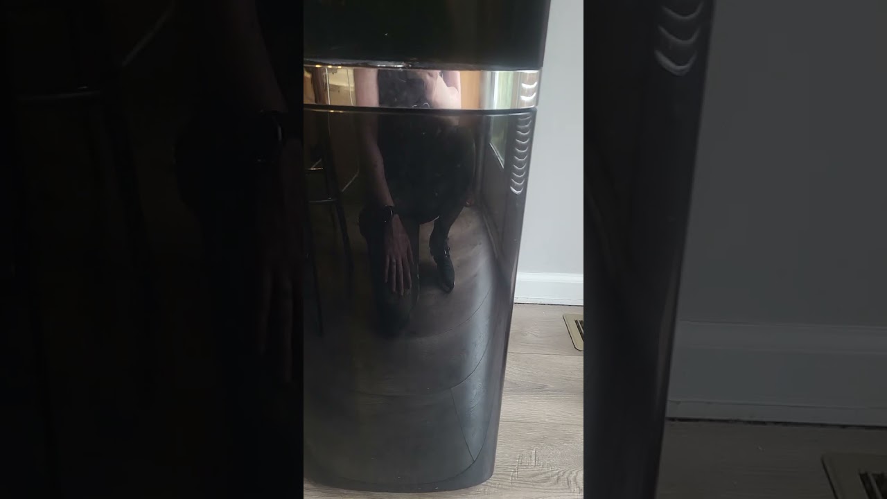 Honest Review of Primo Water Dispenser