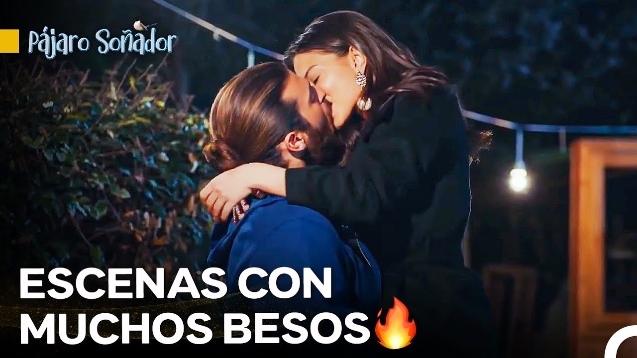 Si Vamos A Arder, Ardamos Juntos, Mi Amor - Pájaro Soñador