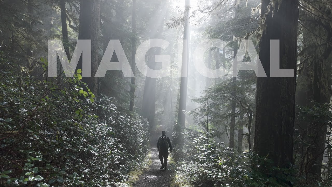Amazing Woodland Photography | FujiFilm GFX100s | Checking out the Jackery Explorer 1000 v2