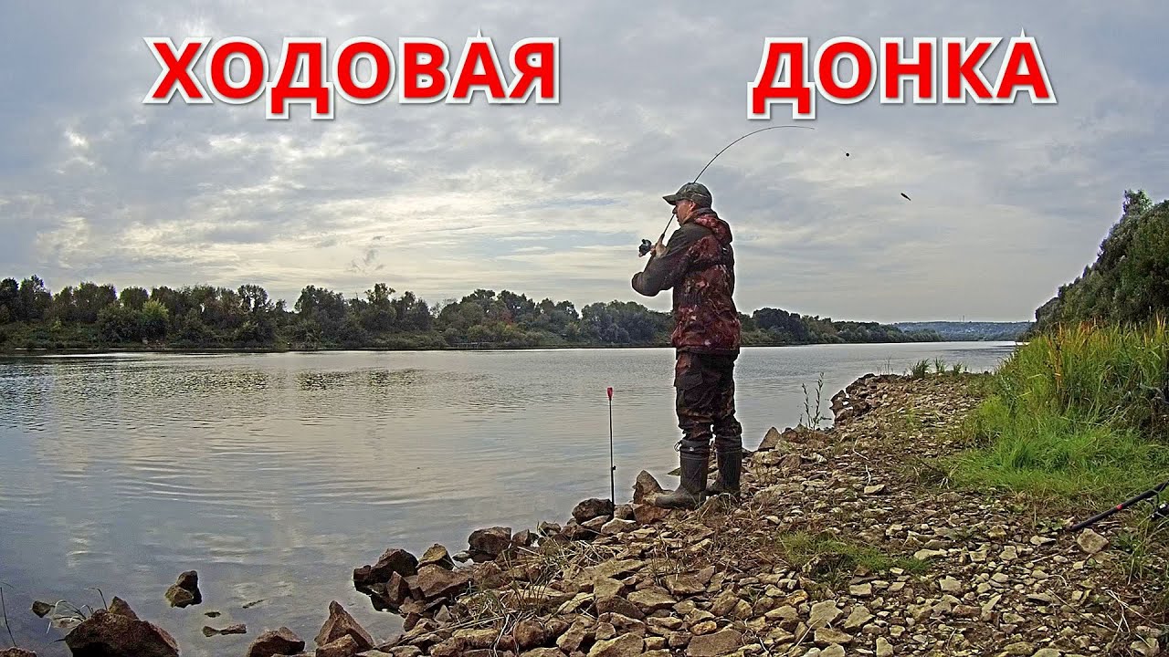 Лучшая снасть на живца. Ловит всегда. Рыбалка на Оке в сентябре.