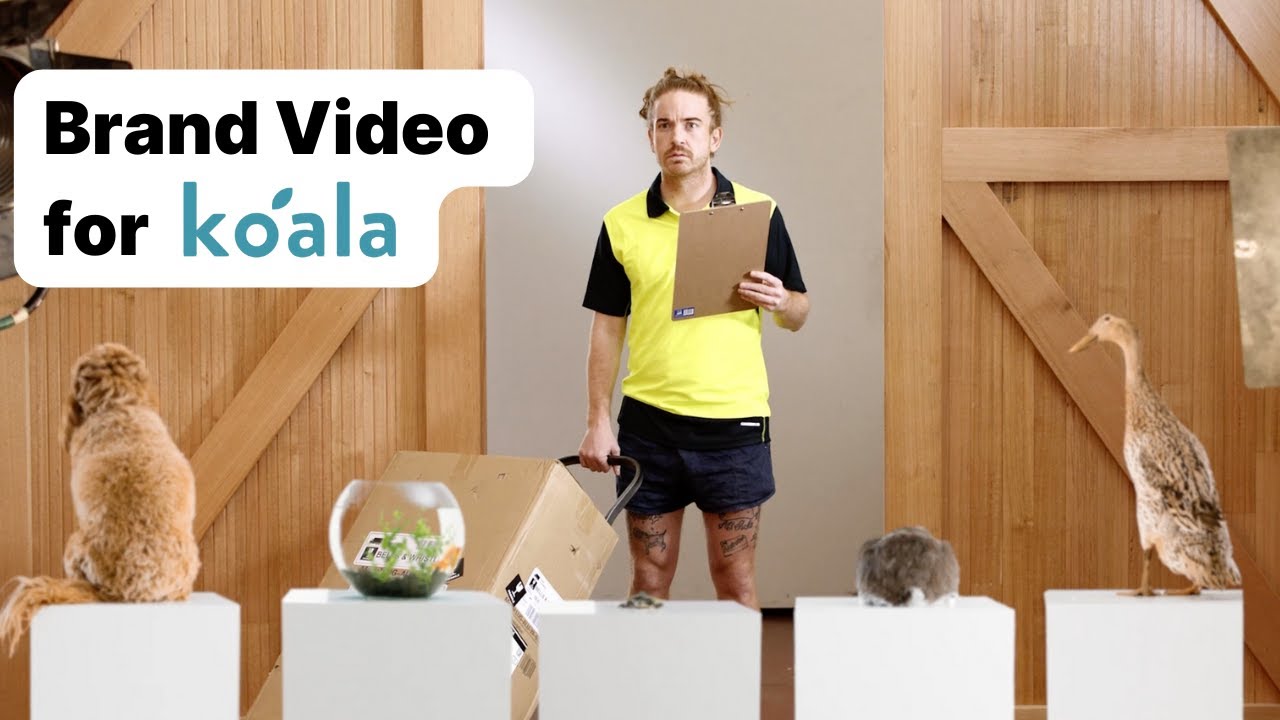 Koala x Vidico — пример брендового видеоролика