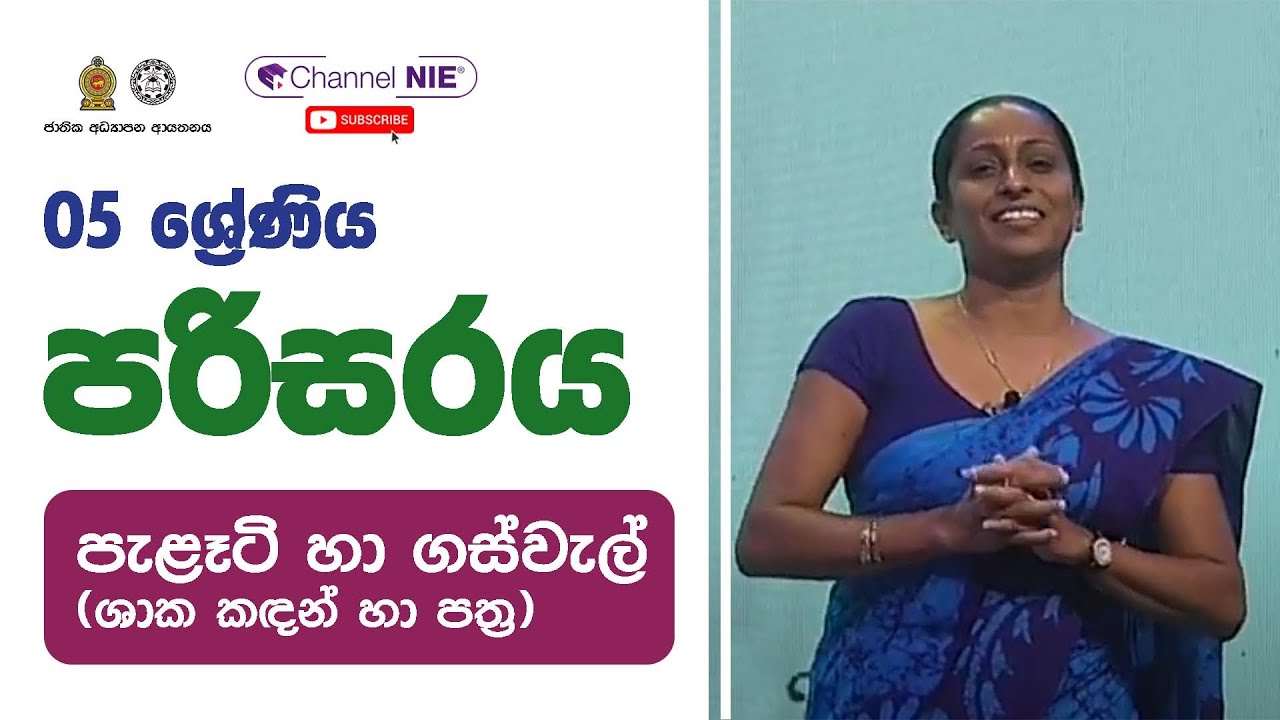 පැළෑටි හා ගස්වැල් (ශාක කඳන් හා පත්‍ර ) - 05 ශ්‍රේණිය- (පරිසරය)
