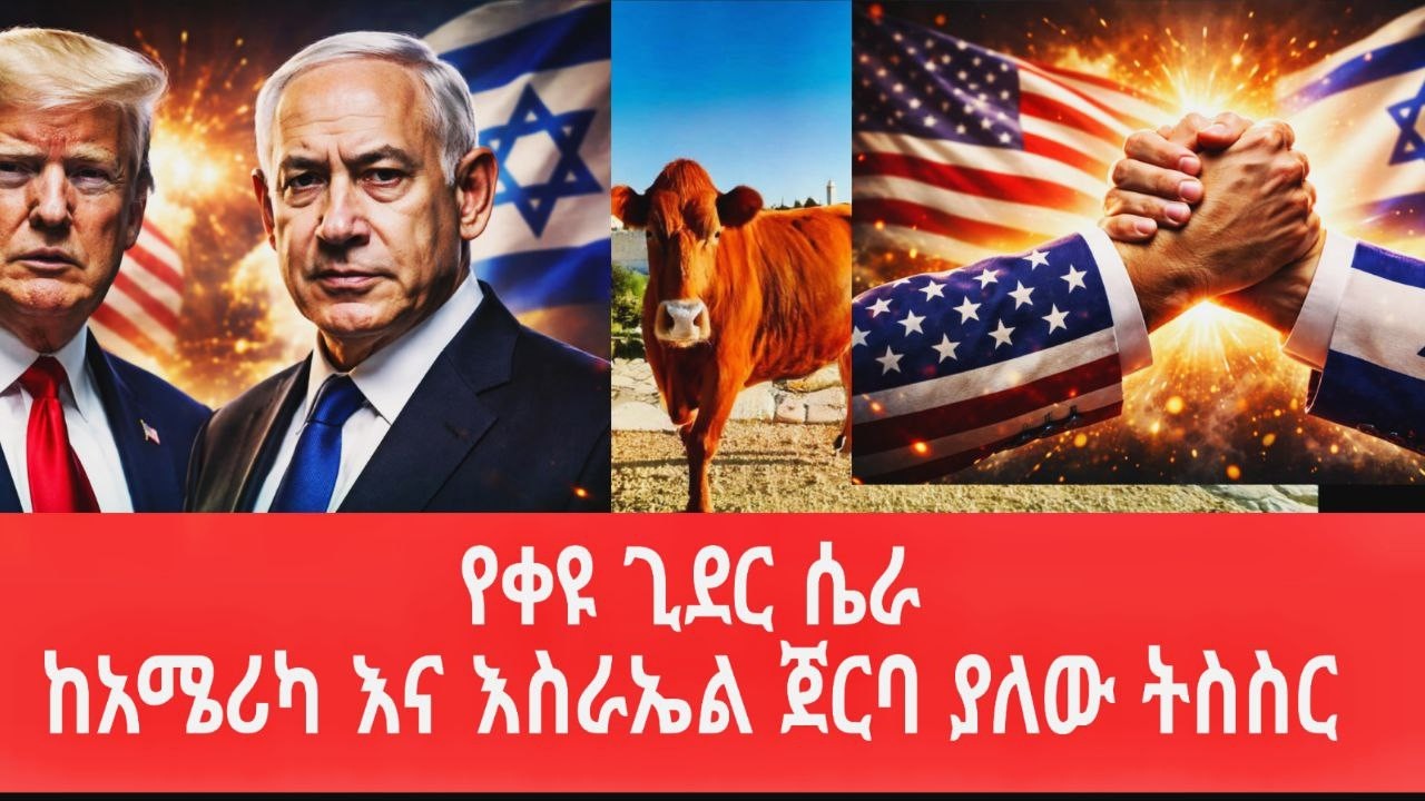 የቀዩ ጊደር ሴራ ፤ ከአሜሪካ እና እስራኤል ጀርባ ያለው ትስስር፤ ያልተሰሙ ምስጢራት @tomay_tube