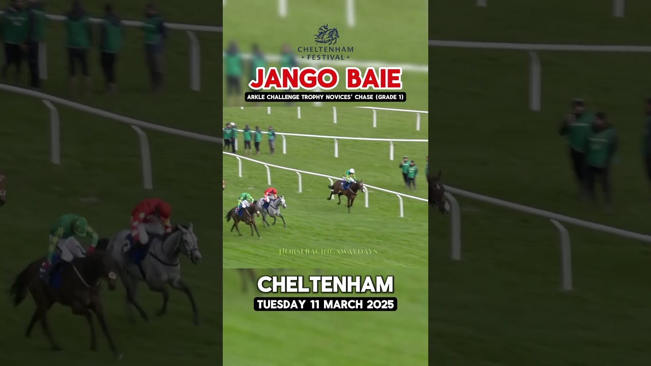 😱DRAMATIC finish in the Arkle as Jango Baie wins it!