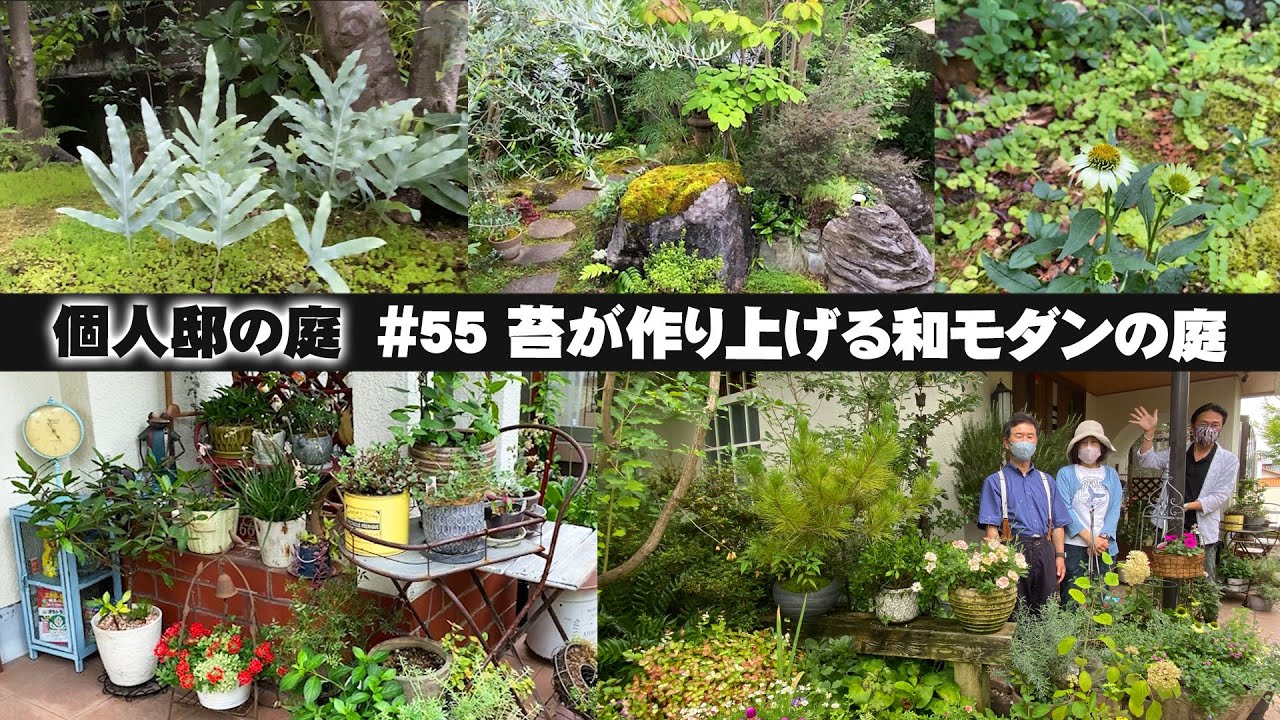 【お庭訪問】第55回 夫婦で好みが違っても調和！苔が生み出す和モダンな空間とアンティークな洋の庭を楽しむ「大阪狭山市Ｏ邸の庭」【個人邸の庭】