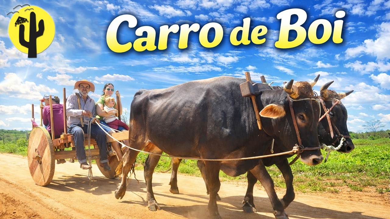 [VIDA NA RO&Ccedil;A] A Trajet&oacute;ria do Carro de Boi, Rumo a Melancias - Ep1 🌵