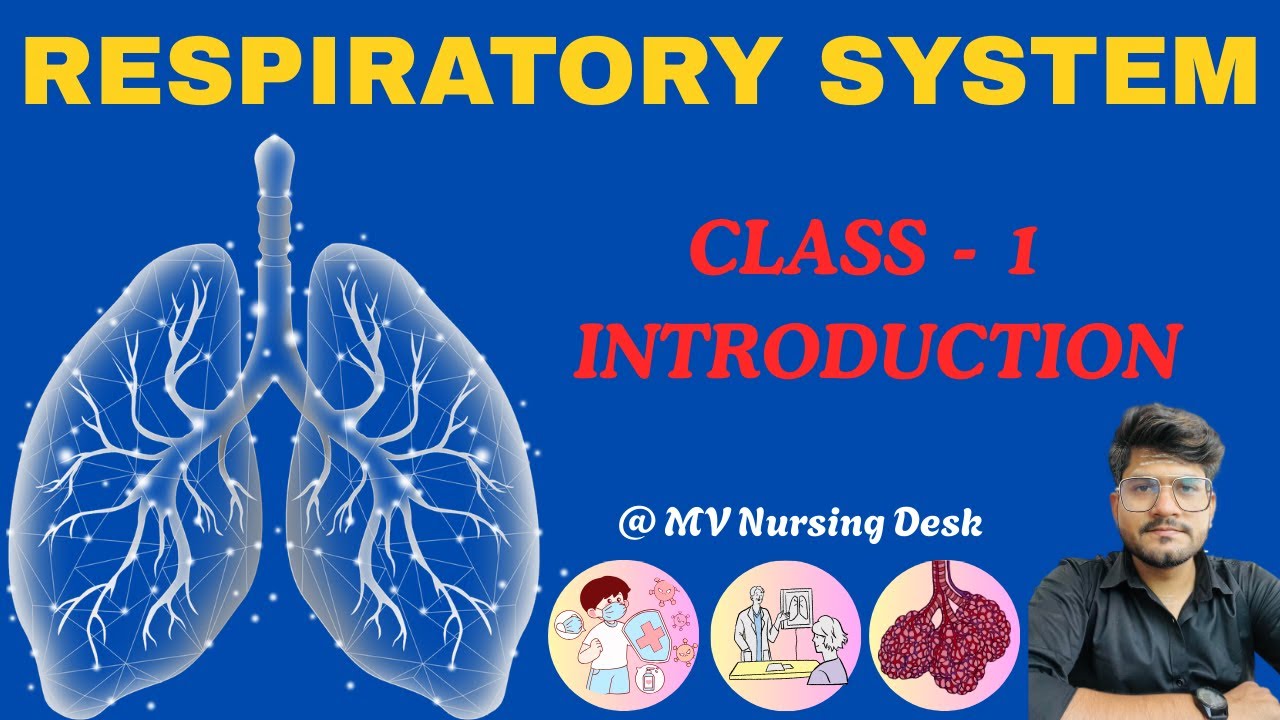 Respiratory System | Introduction | Anatomy, Functions & Disorders | Nursing Made Easy