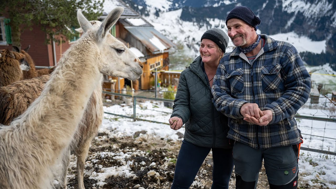 Ein neues Seil für den Lebensnerv: Monatsprojekt der Familie Niederberger in Wolfenschiessen/NW
