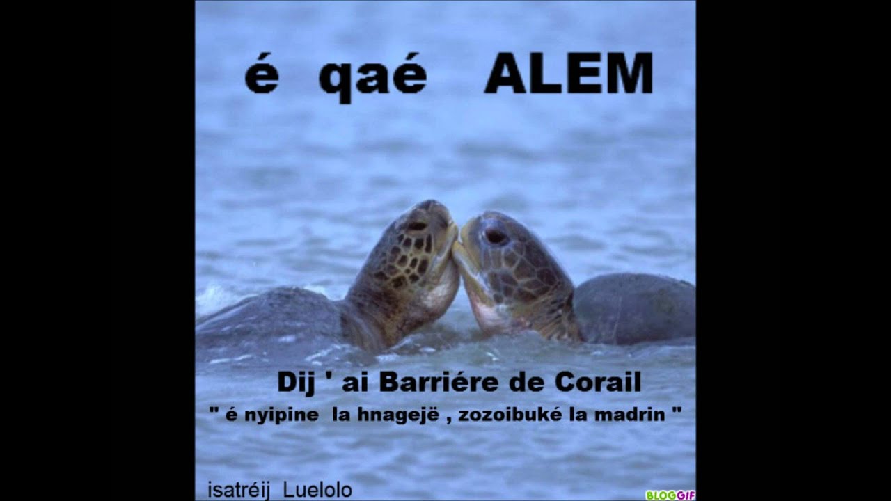FIGAHNAZII  EN  CONCERT :   