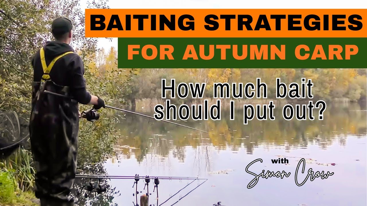Autumn baiting strategies for CARP
