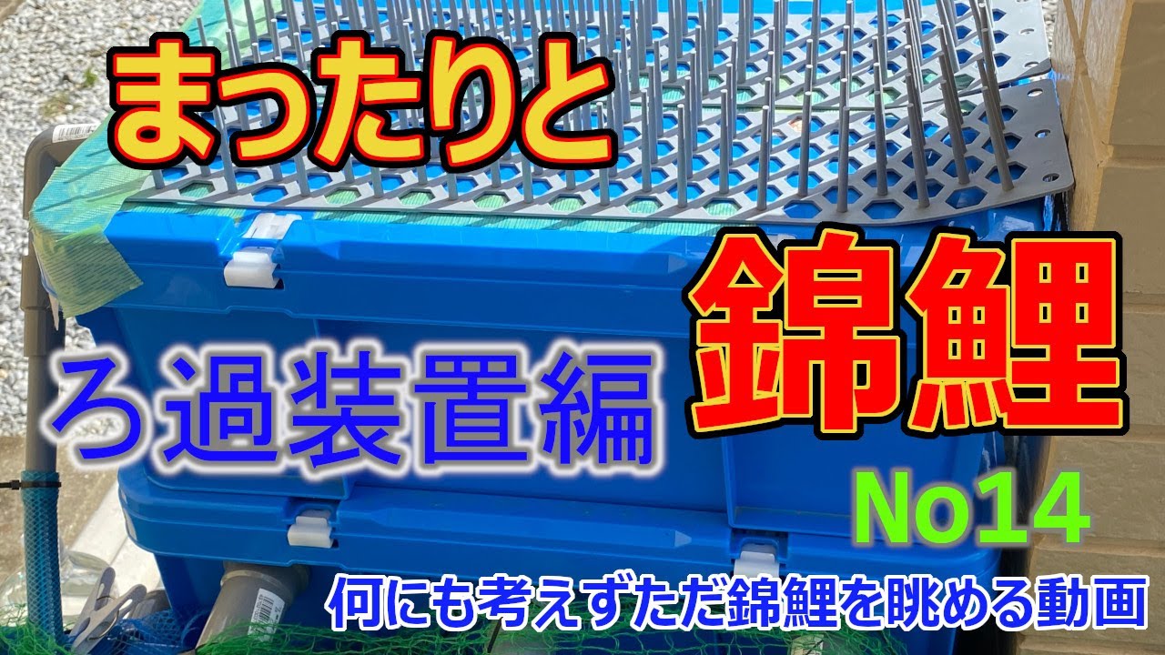 まったりと錦鯉No14【ろ過装置】
