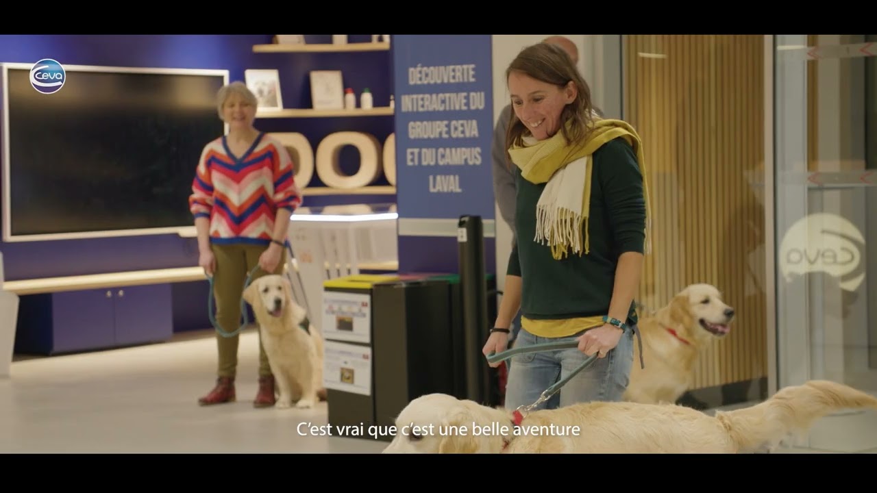 Le campus de Ceva Laval accueille les cours d’éducation Handi'chiens