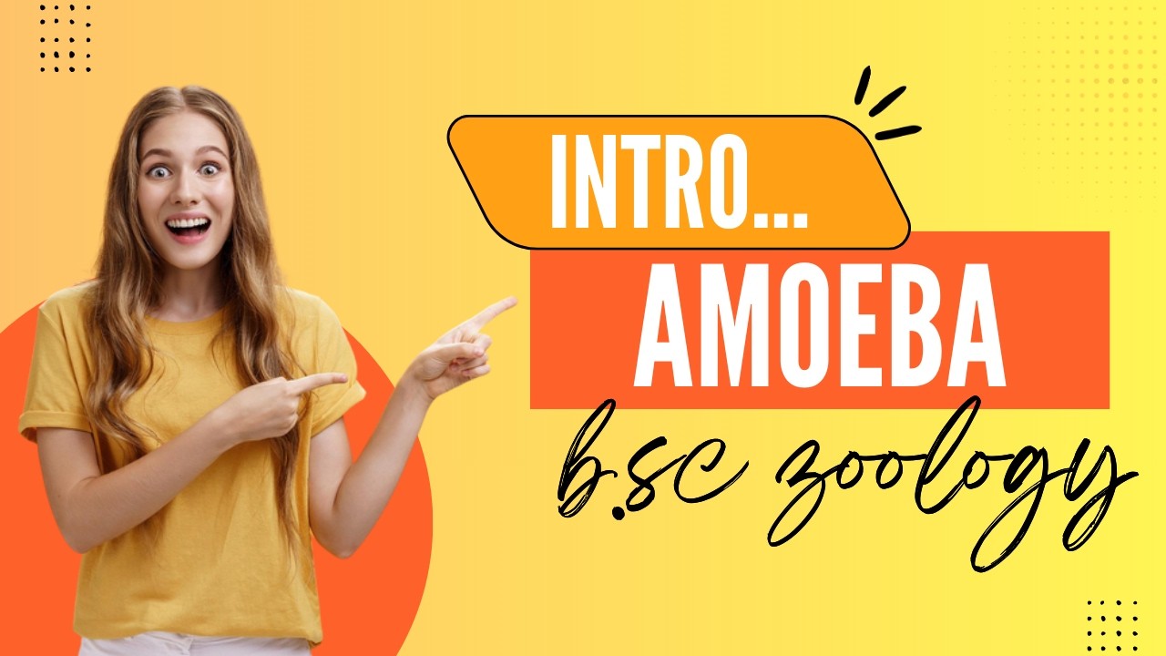 introduction to amoeba || b.sc || zoology || university exams ||