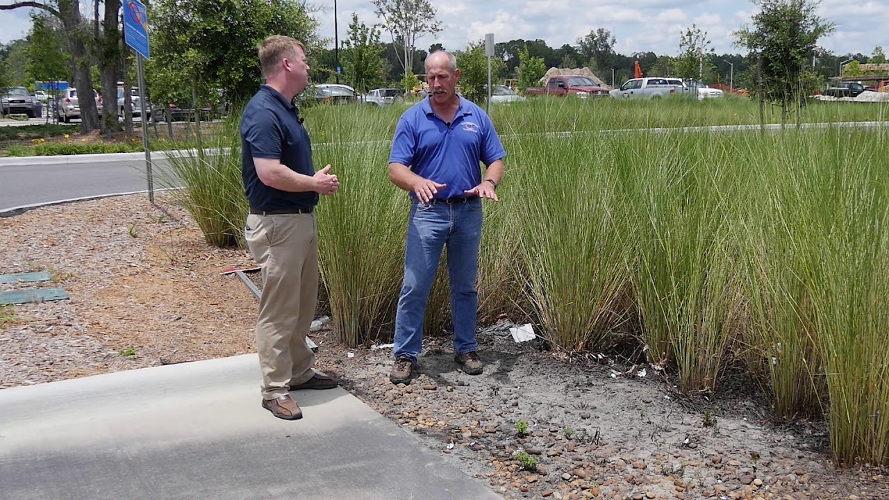 Vegetated Swales: Commercial Parking Lot
