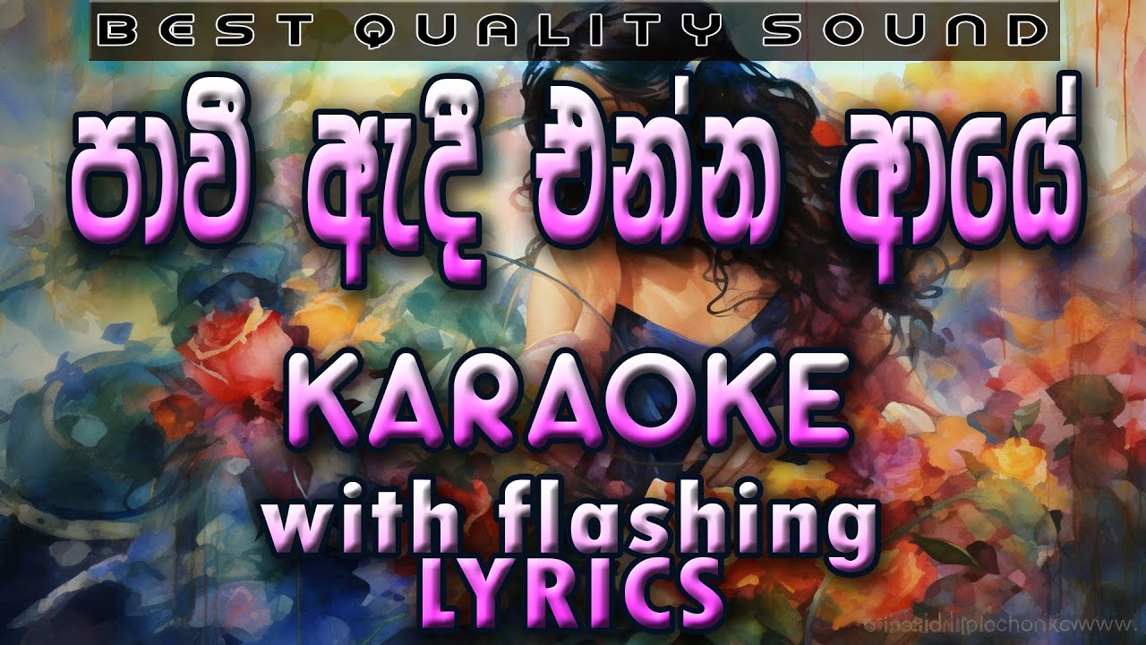 Pavi Adi Enna Aye Karaoke with Lyrics (Without Voice)