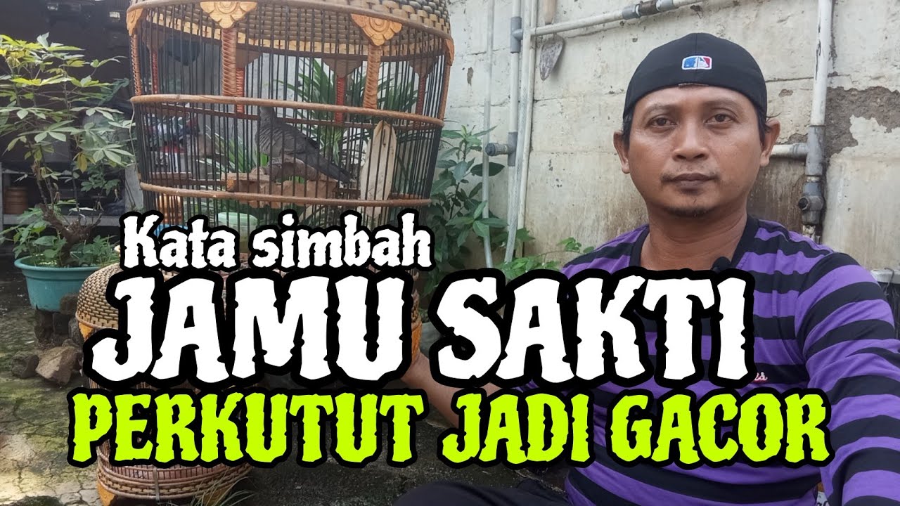 Pingin gacor coba pil sakti kata simbah begitu