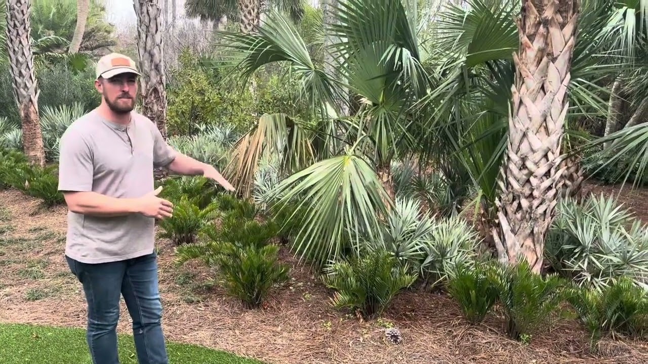 Check out this Tropical Native Northeast Florida Backyard Design we installed in Ponte Vedra Beach