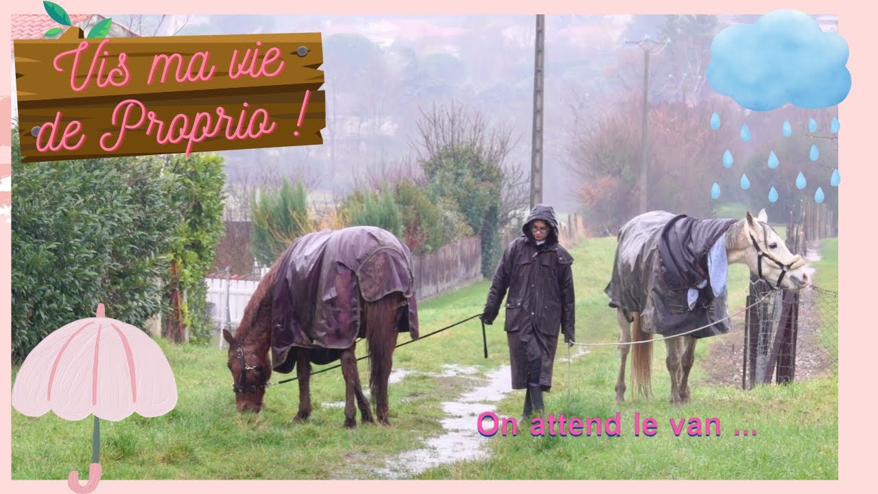 Ma ROUTINE PROPRIETAIRE avant concours ☔ Je crois qu'il pleut !