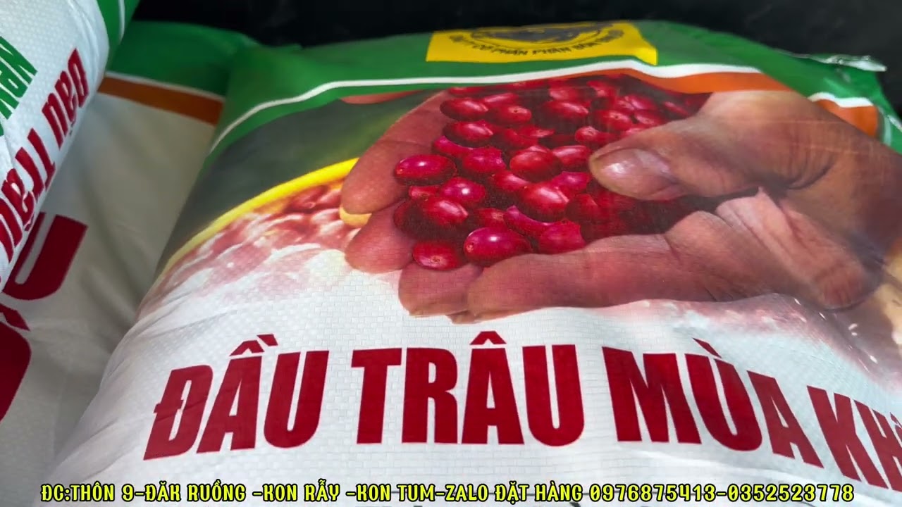 Ph&acirc;n b&oacute;n chuy&ecirc;n d&ugrave;ng cho c&agrave; ph&ecirc; m&ugrave;a kh&ocirc; hiệu quả cao gi&uacute;p nh&agrave; n&ocirc;ng bội thu