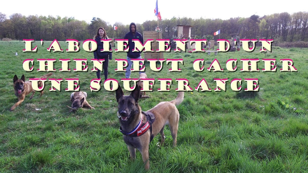L'aboiement d'un chien peut cacher une souffrance