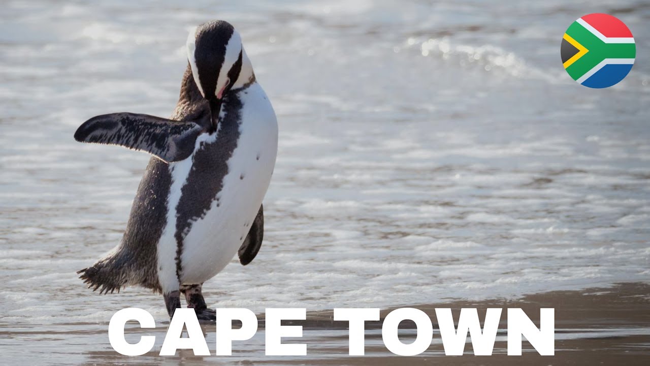 Could Cape Town be the Best City in Africa 🇿🇦