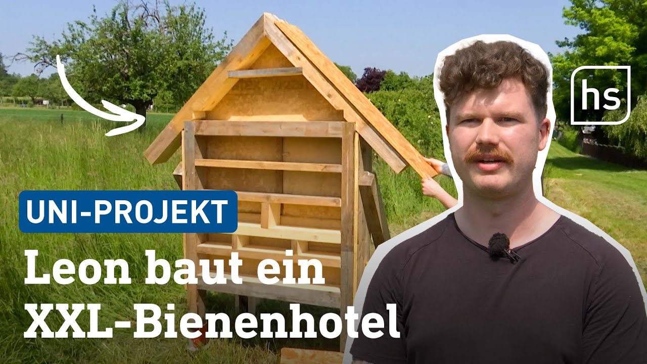 Bedrohte Insekten: Uni-Projekt soll Wildbienen schützen | hessenschau
