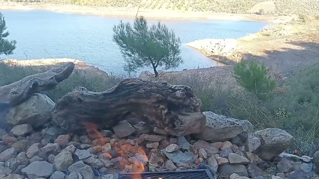 Göl Evinde Yenileme - Kuzu Yürek ve Böbrek Izgara