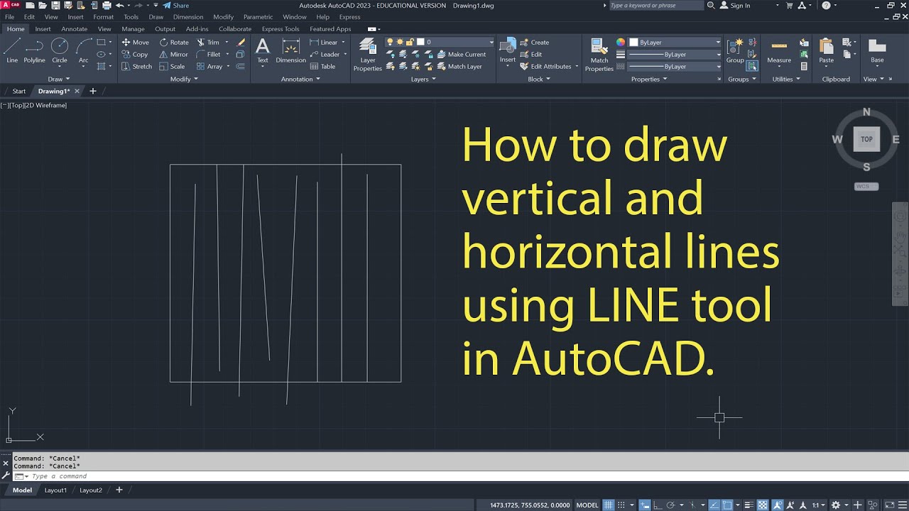 Drawing Straight Lines using Line Tool
