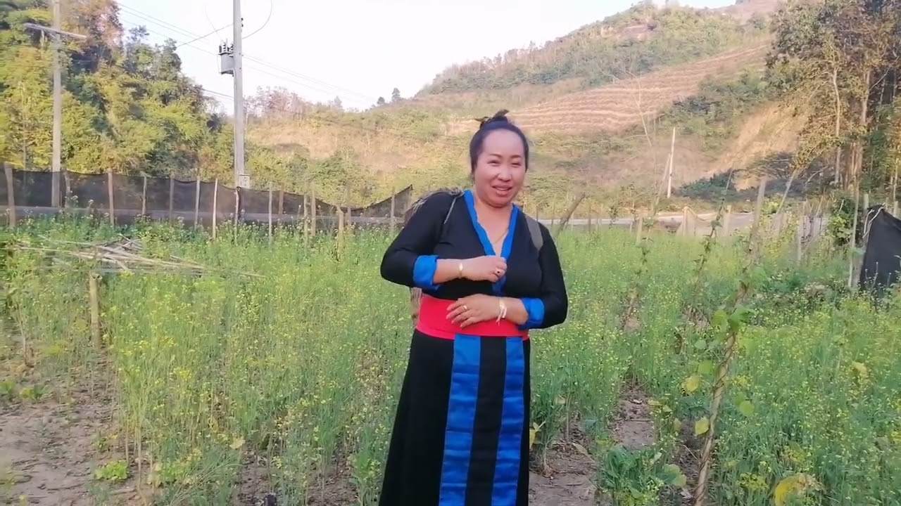 Kwv​ txhiaj​ hais​ rau​ nraug​ hmoob​ yaj​ paj​ tag​