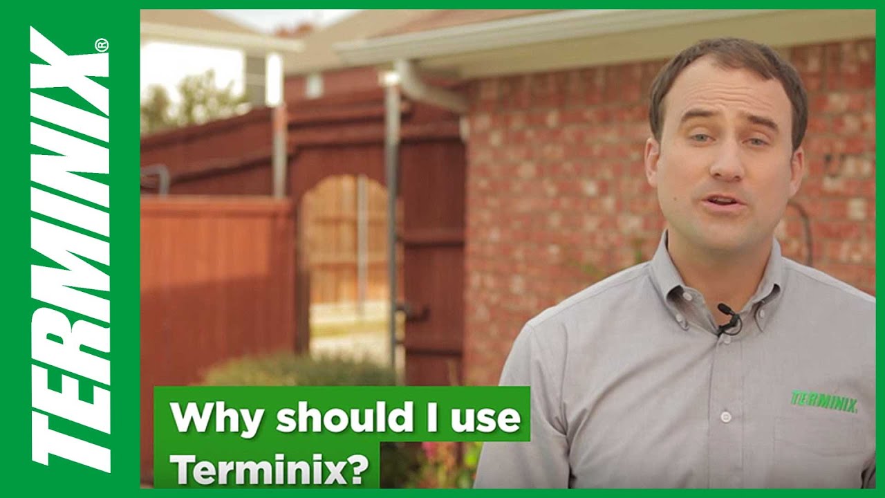 Why Choose Terminix Control Services