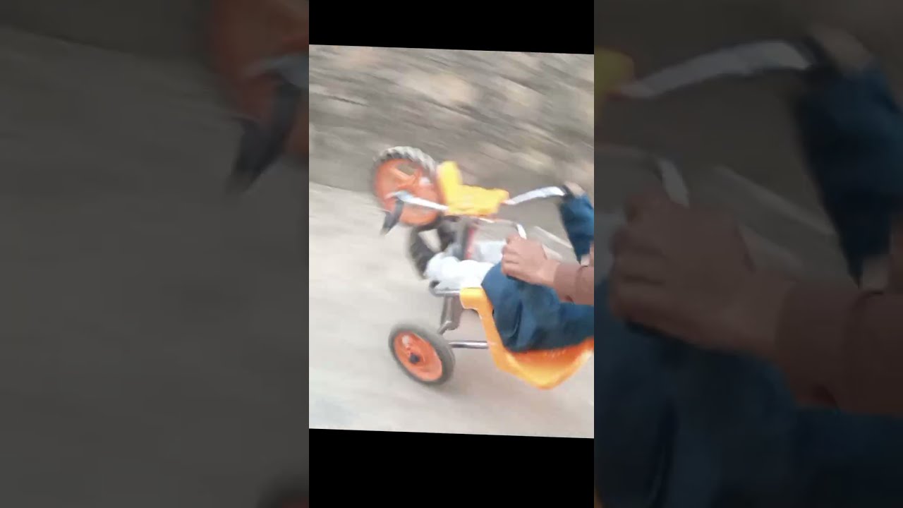 one wheeling cycle | one wheeling stunts pakistan | one wheeling video #shorts #shortvideo