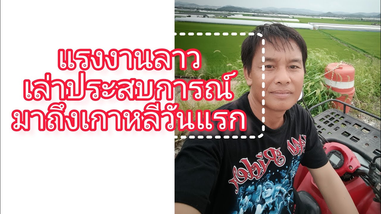 แรงงานลาวทำงานเกษตรเกาหลีใต้ #เล่าประสบการณ์มาถึงเกาหลีวันแรก#koy vlog channel