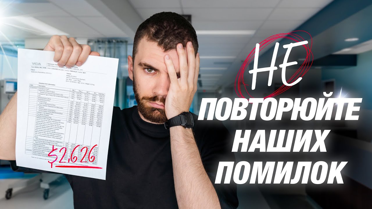Наш кіт нас розорив | Страхування в Канаді | CUAET