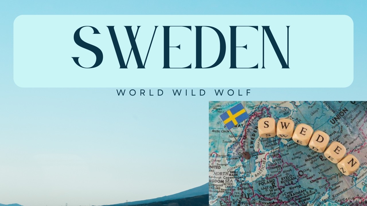 #SWEDEN#redditstories#stories#reddit#story#storytale#world#travel#geography#facts#world wild wolf