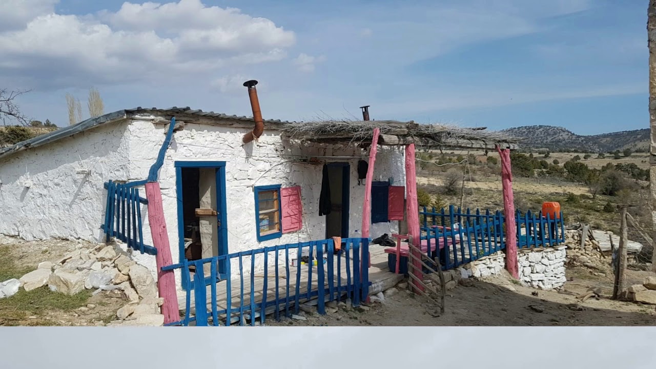 Sarıkavak köyü 2021