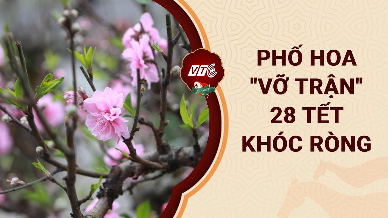Hà Nội 28 Tết: Phố hoa 