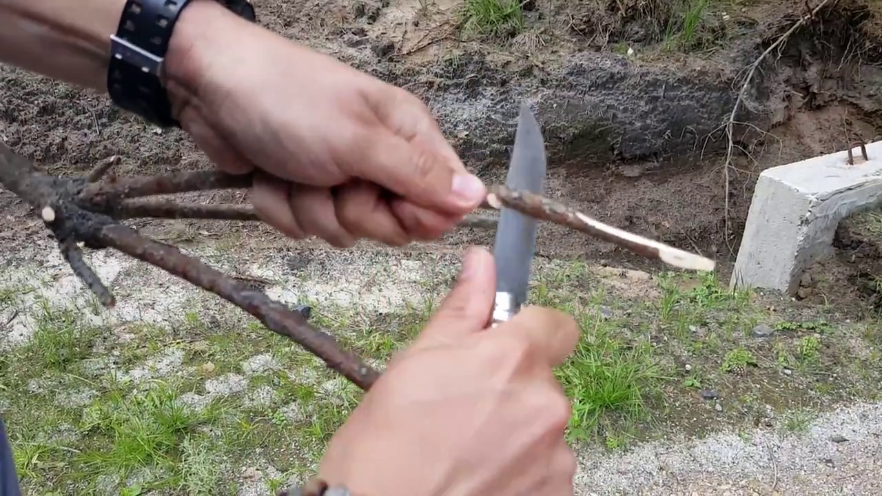 N&oacute;ż knife Opinel 10 Carbon test cięcie gałęzi