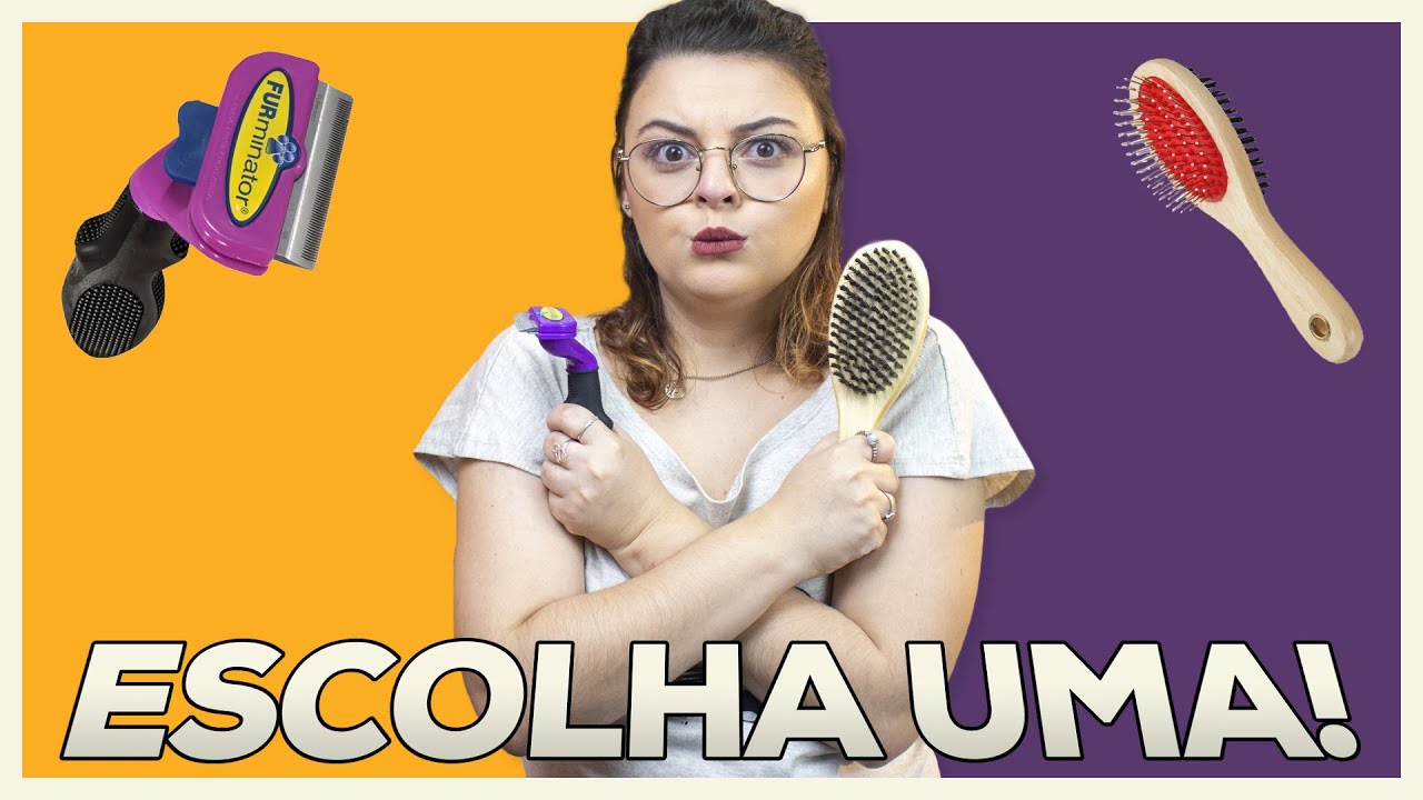 Qual Escova Comprar? | Batalha de Escovas