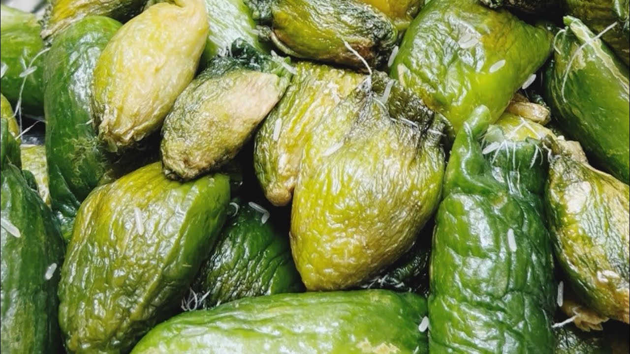 ئامادەکردنی توچمە