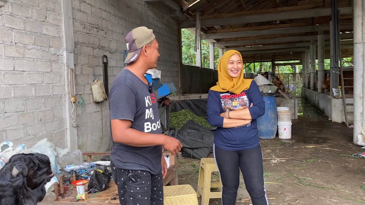 PERMAISURI BIMA SAKTI SIAP DI LEPAS