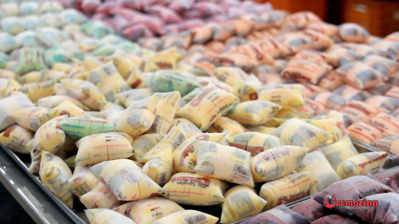 Historia da Empresa Cremozinn Sorvete de Iogurte