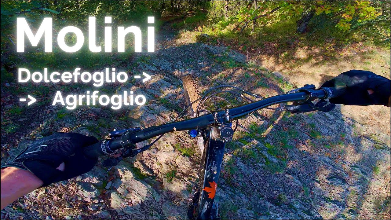 Agrifoglio  |  Molini di Triora  |  MTB
