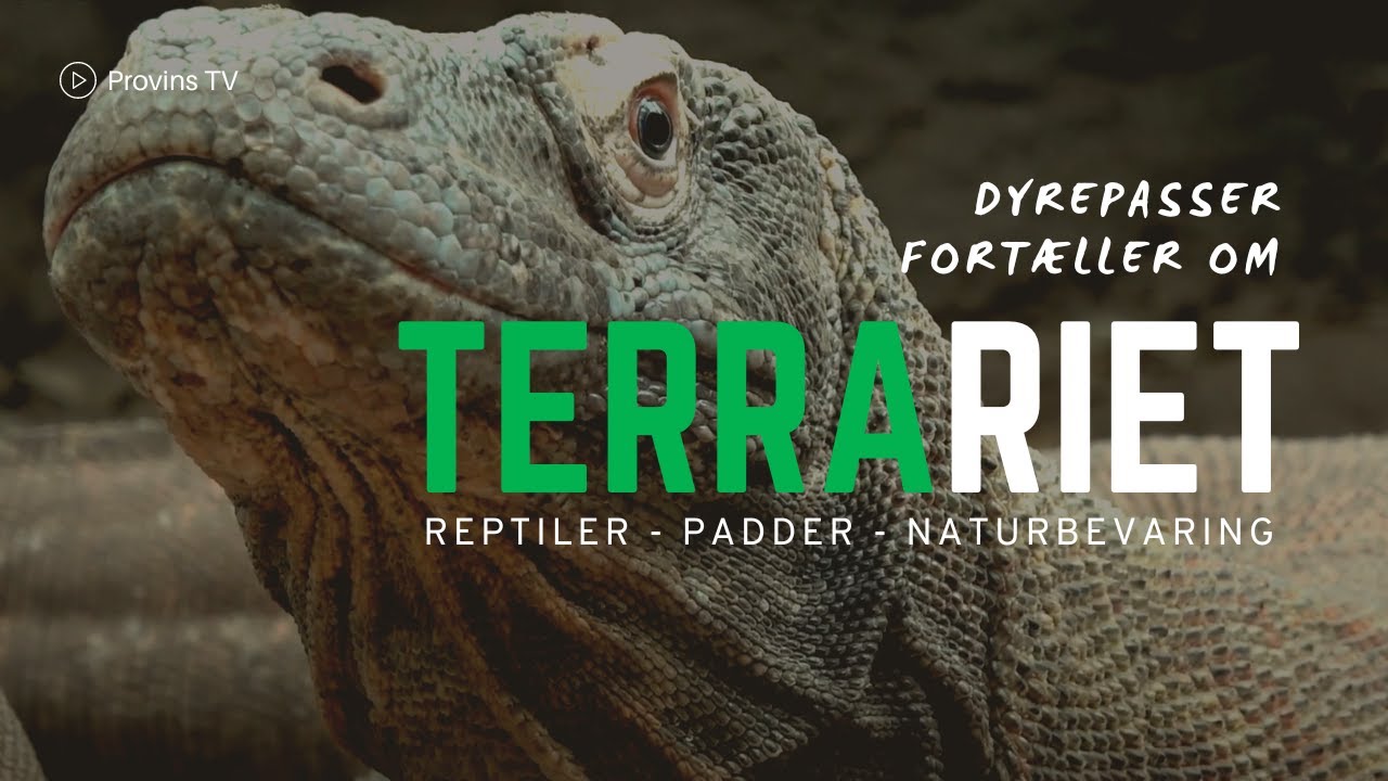 Terrariet Reptile Zoo: Krybdyr og padder - facts og naturbevaring