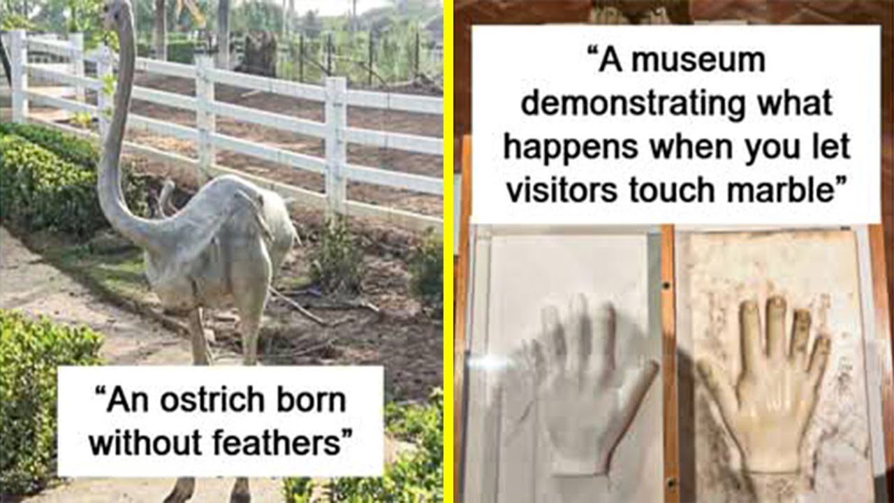 Moments When People Snapped Photos of the Random Things They Discovered
