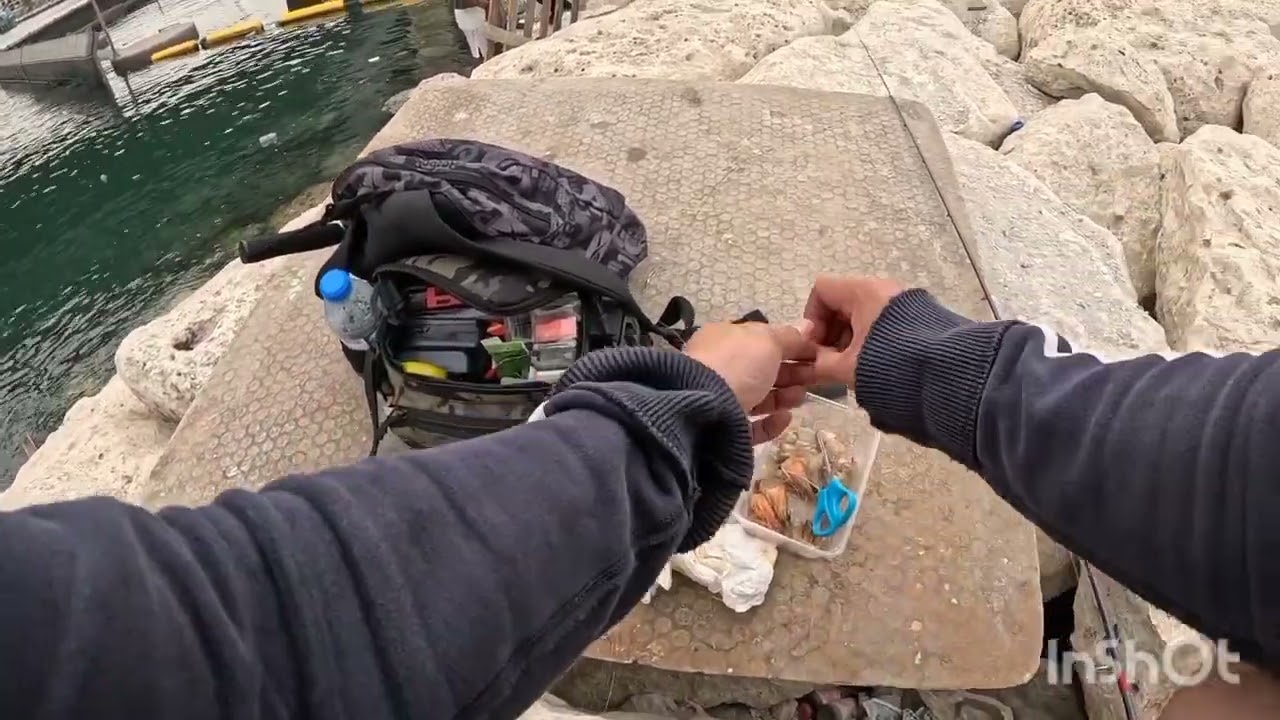 Bait and wait new spot