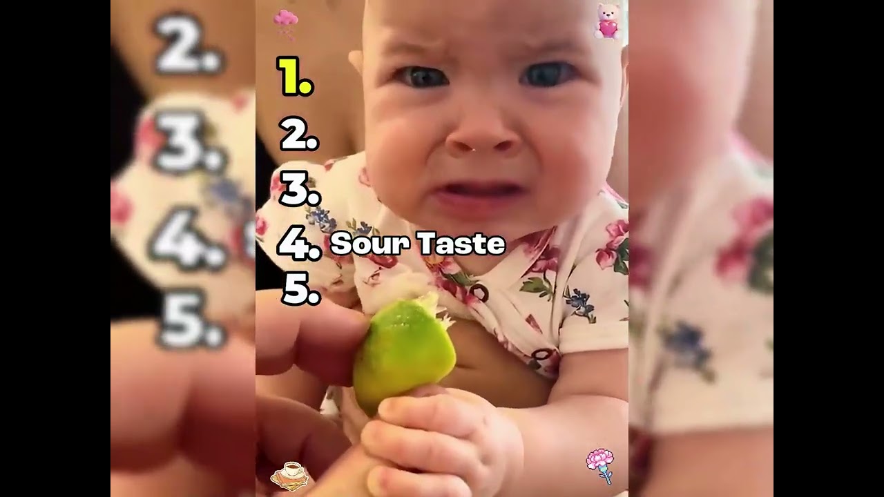 🤣👌👌👌2026 pov Must-Watch Crazy Clips Compilation #humor #fypシ #pov #fyp #foryou 😍😜