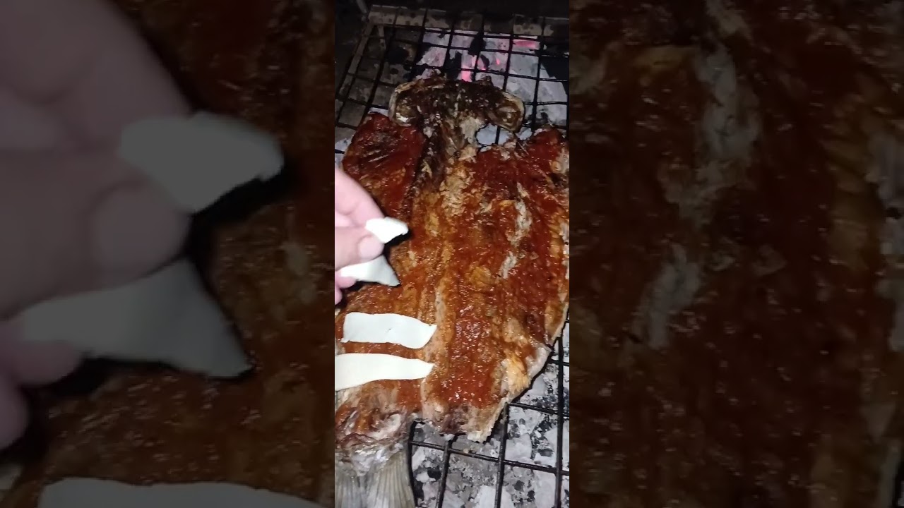 Pesca y cocina un sábalo 