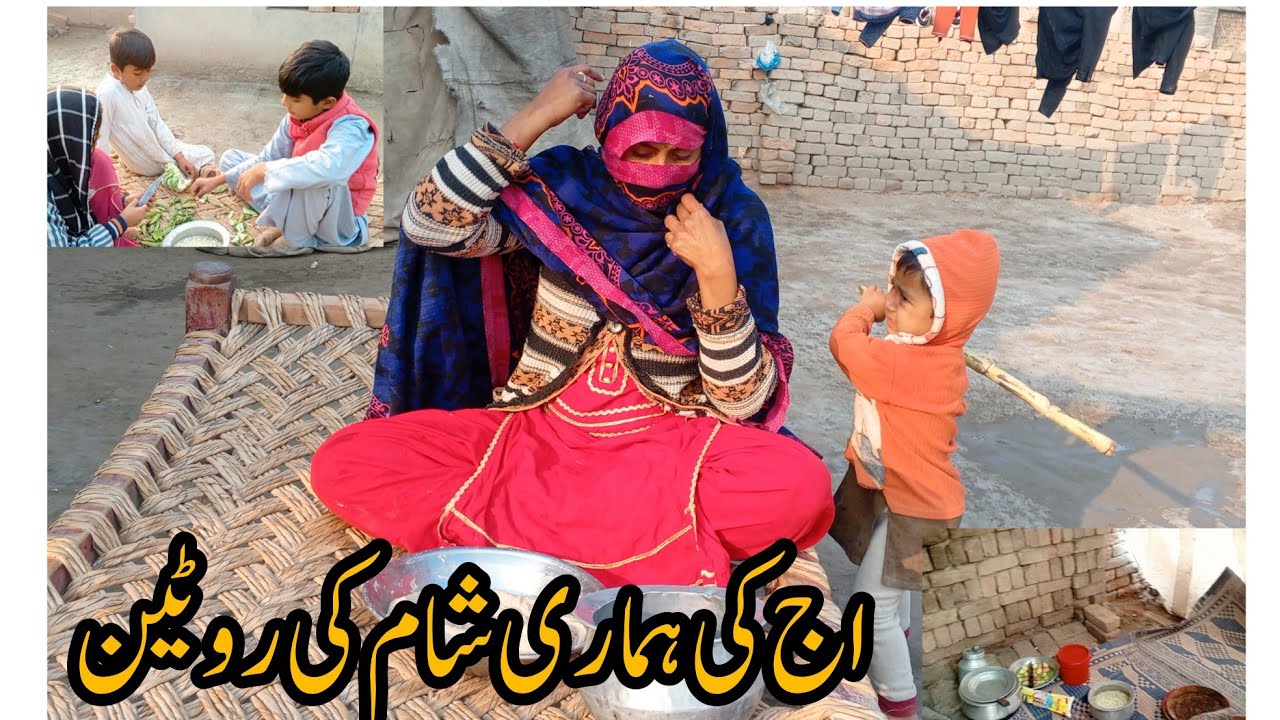 Aaj ki Hamari sham ki routine zahra family Vlogs 🤗