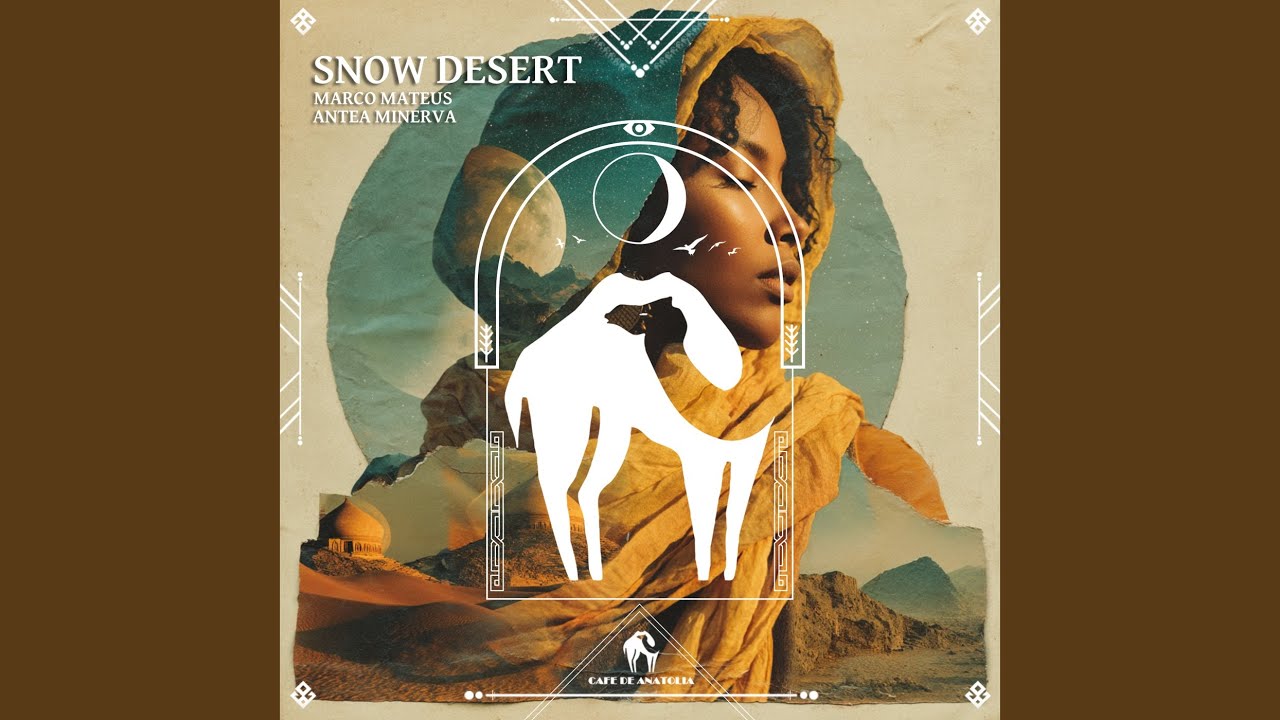 Snow Desert